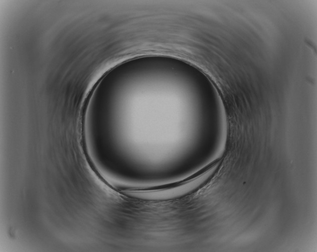 X0000091451531200708231244