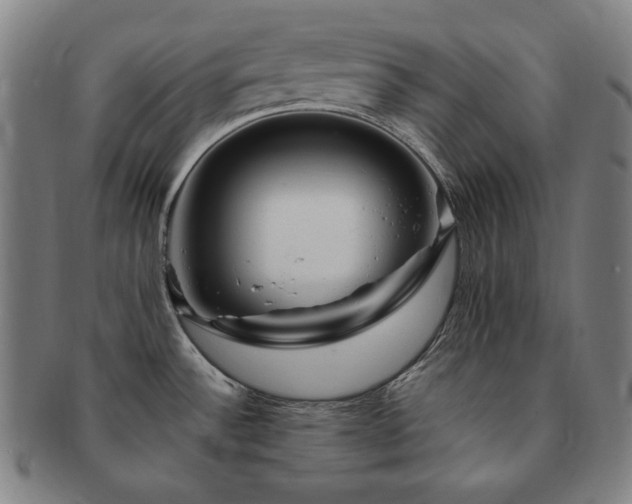 X0000091451532200708231244