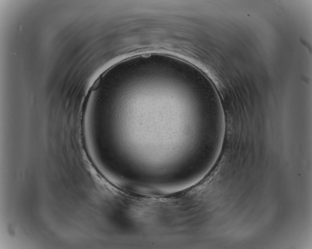 X0000091451534200708231244