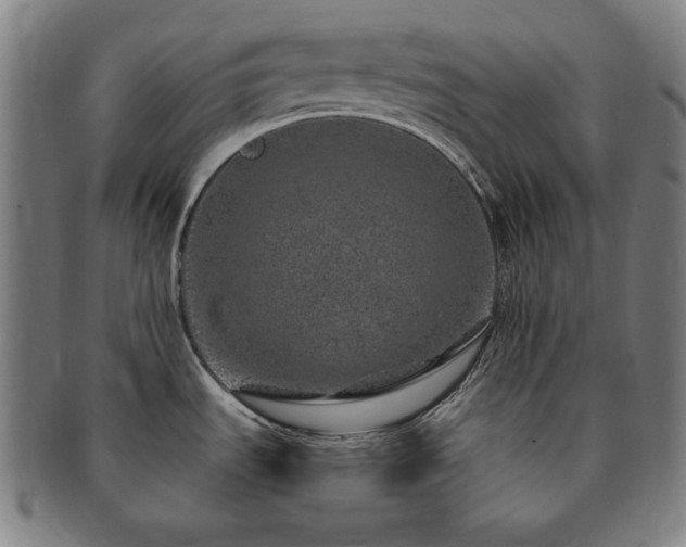 X0000091451535200708231244