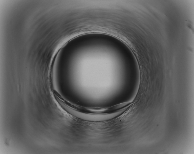 X0000091451536200708231244