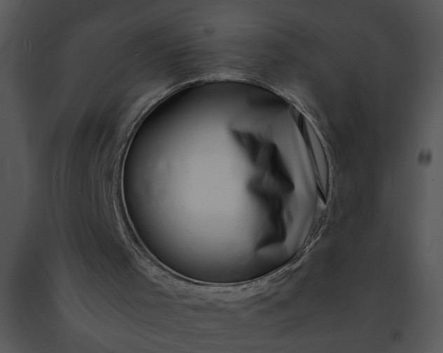 X0000091450001200708301820