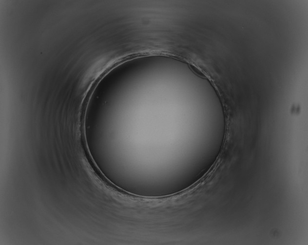 X0000091450002200708301820