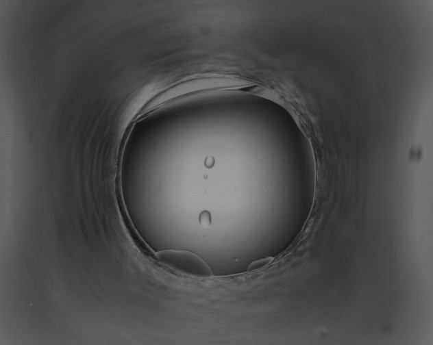 X0000091450003200708301820