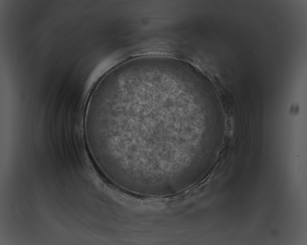 X0000091450004200708301819