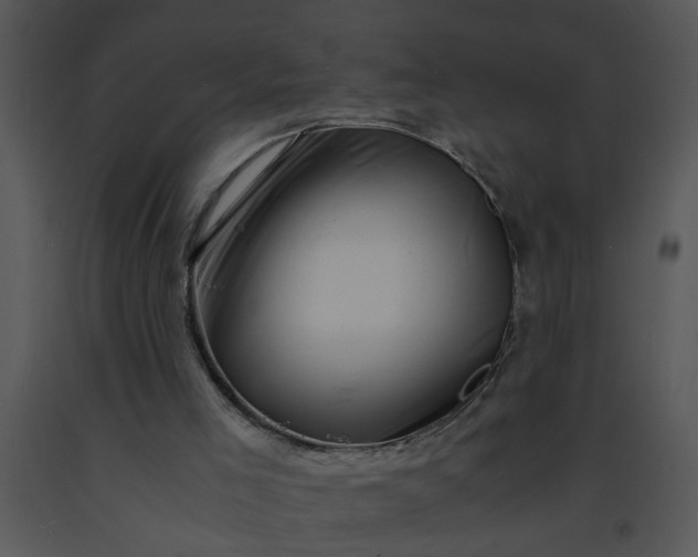 X0000091450005200708301819