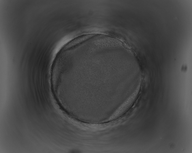 X0000091450006200708301819