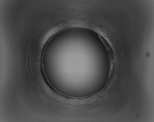 X0000091450007200708301819