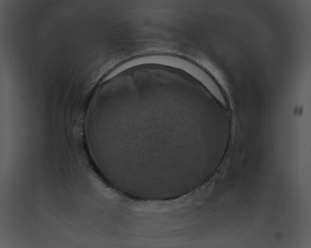 X0000091450009200708301819