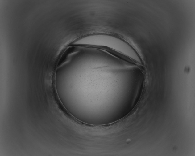 X0000091450010200708301819