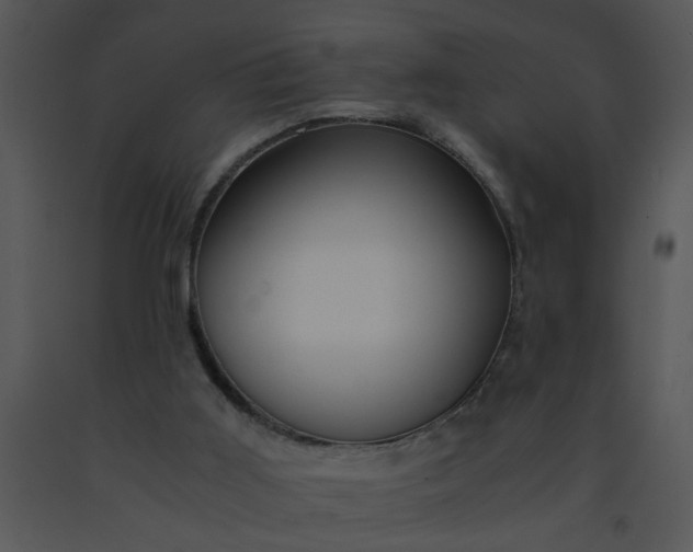 X0000091450011200708301819