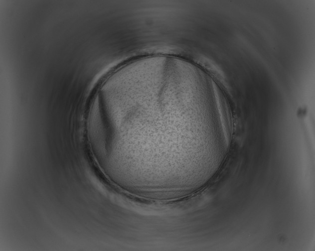 X0000091450012200708301819