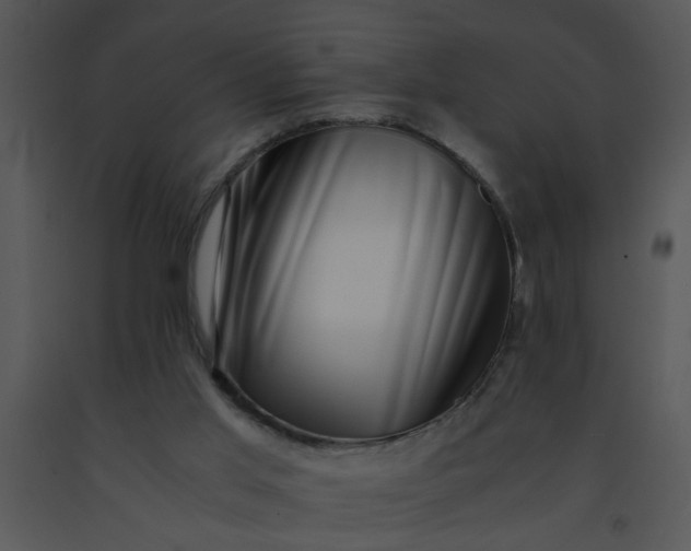 X0000091450013200708301819