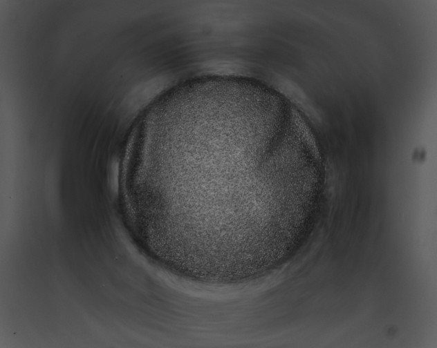 X0000091450014200708301819