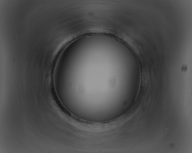 X0000091450015200708301819