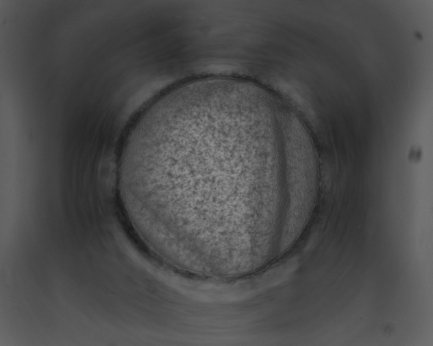 X0000091450016200708301819