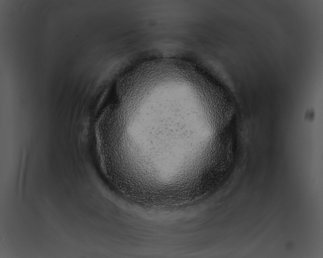 X0000091450018200708301819