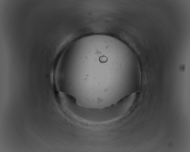 X0000091450019200708301819