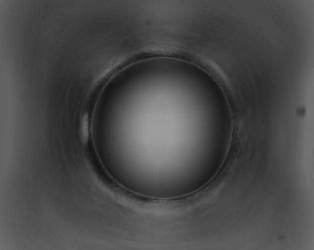 X0000091450020200708301819