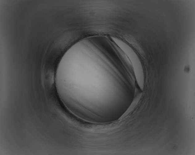 X0000091450021200708301819