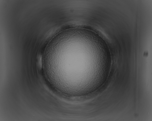 X0000091450022200708301819