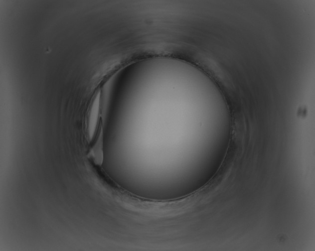 X0000091450023200708301819