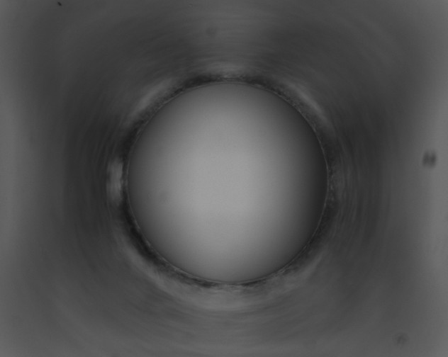 X0000091450024200708301819