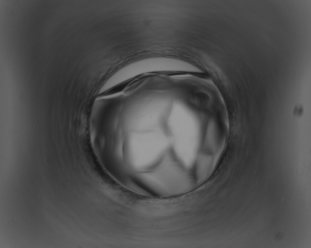 X0000091450025200708301819