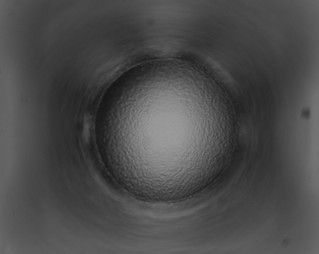 X0000091450026200708301819