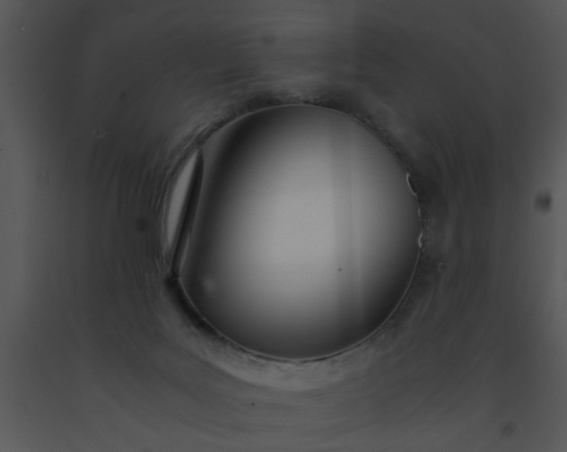 X0000091450027200708301819