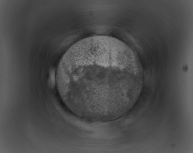 X0000091450028200708301819