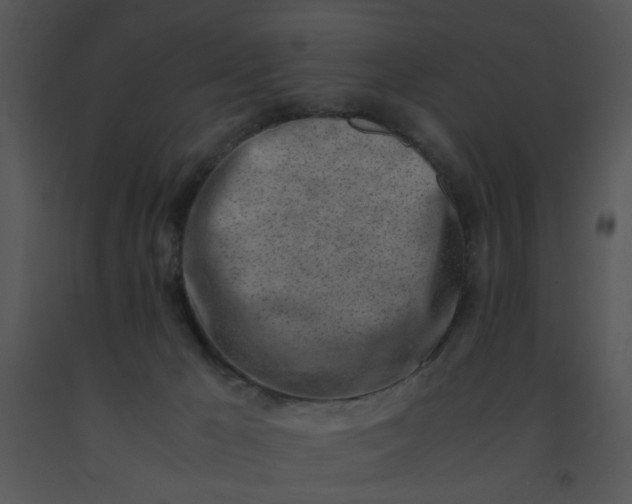 X0000091450029200708301819