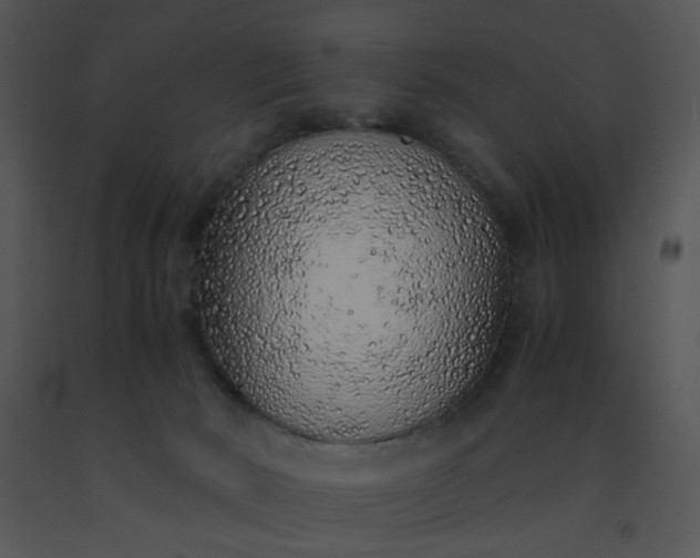 X0000091450030200708301819