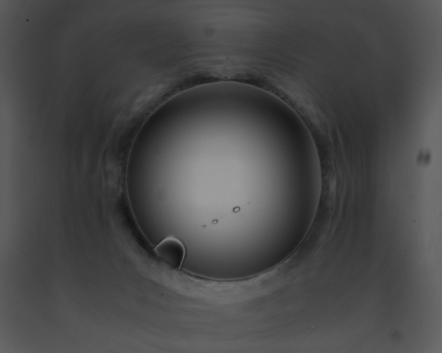 X0000091450031200708301819