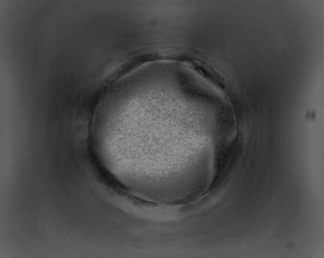 X0000091450032200708301819