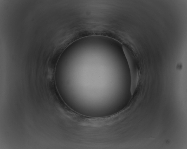 X0000091450033200708301819