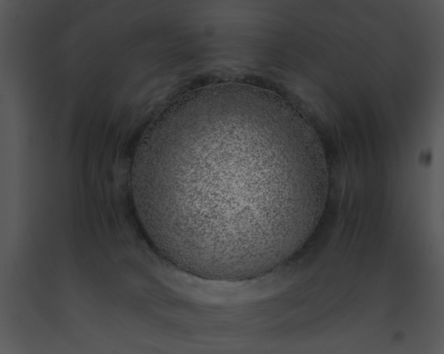 X0000091450034200708301819