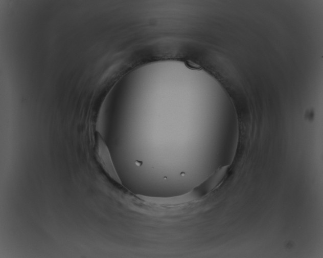 X0000091450035200708301819