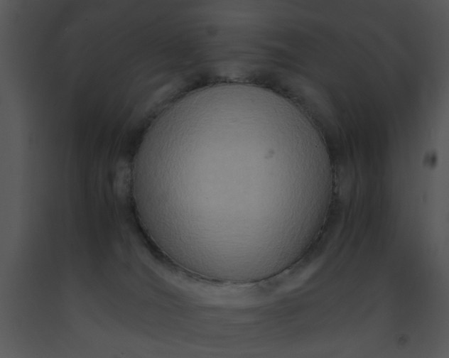 X0000091450036200708301819