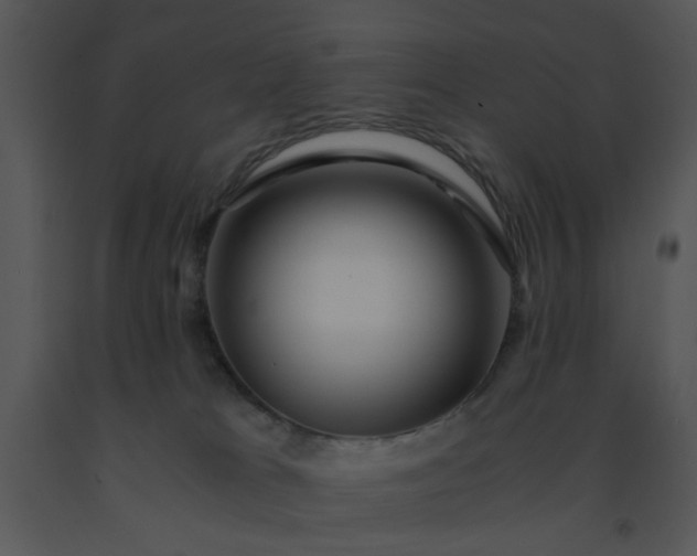 X0000091450037200708301819