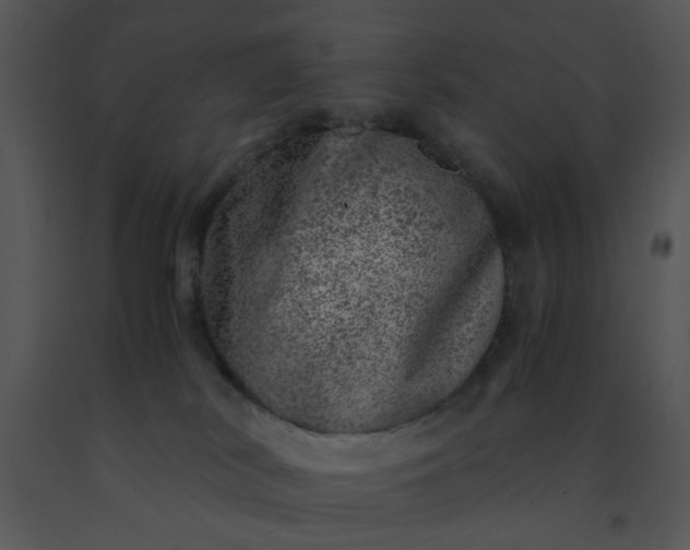 X0000091450038200708301819