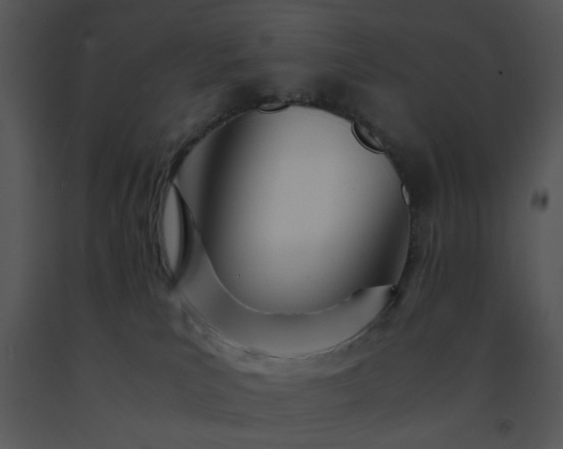 X0000091450039200708301819