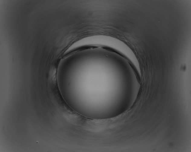 X0000091450041200708301819