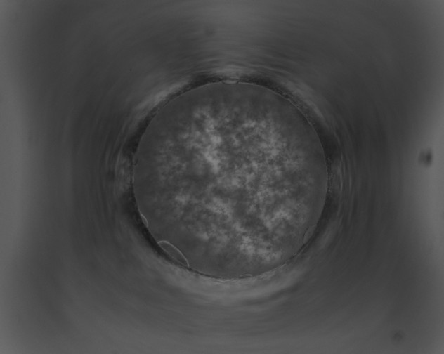 X0000091450043200708301819