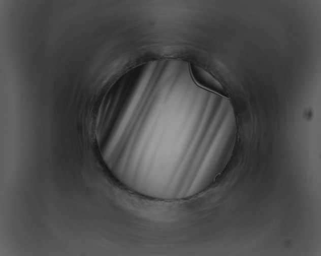 X0000091450044200708301819