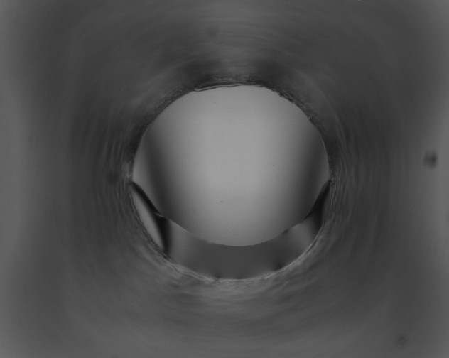 X0000091450045200708301819