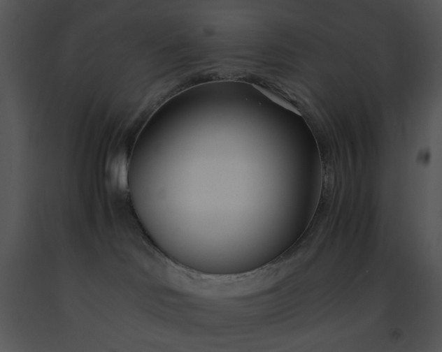 X0000091450046200708301819