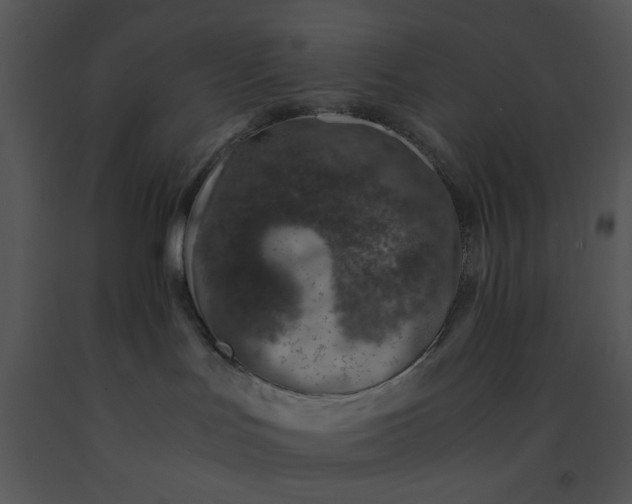 X0000091450047200708301819