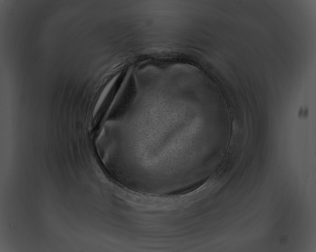 X0000091450048200708301819