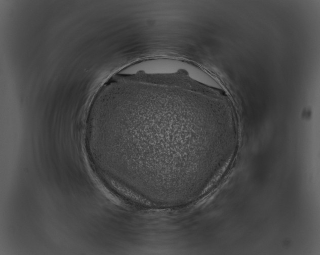 X0000091450049200708301818